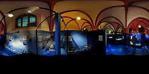 NaturhistorischesMuseum16.jpg